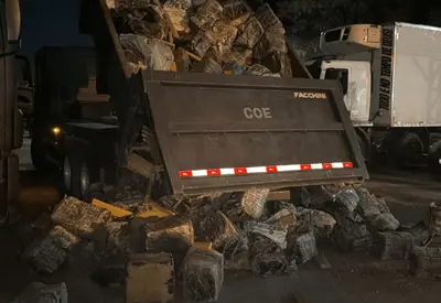 Quase 50 toneladas de maconha são apreendidas no Complexo da Maré, no Rio Quase 50 toneladas de maconha são apreendidas no Complexo da Maré, no Rio