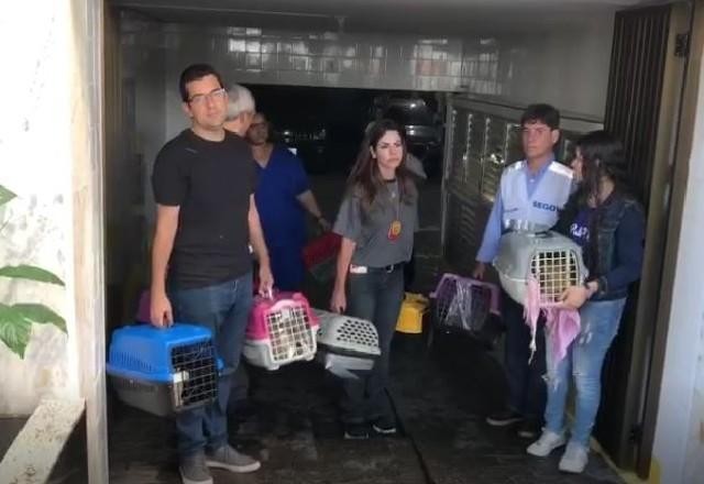 Imagem da noticia Mulher é presa em cobertura na orla do Rio por maus tratos a animais