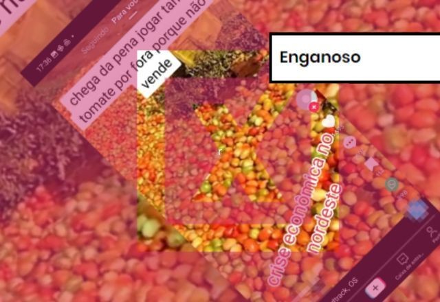 Imagem da noticia ENGANOSO: Post usa vídeo de 2022 para dizer, erroneamente, que tomates estão sendo descartados por suposta crise econômica