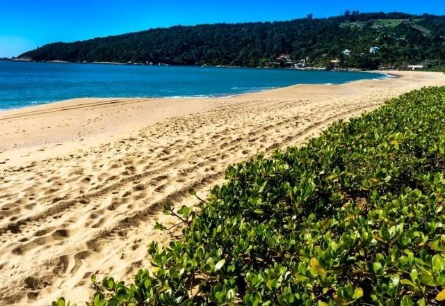 Imagem da noticia Senado discute PEC que pode privatizar terrenos da União no litoral; ONG faz alerta