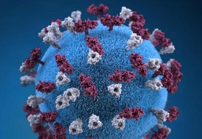 Descoberta da variante ômicron em animais preocupa população de Nova Iorque Descoberta da variante ômicron em animais preocupa população de Nova Iorque