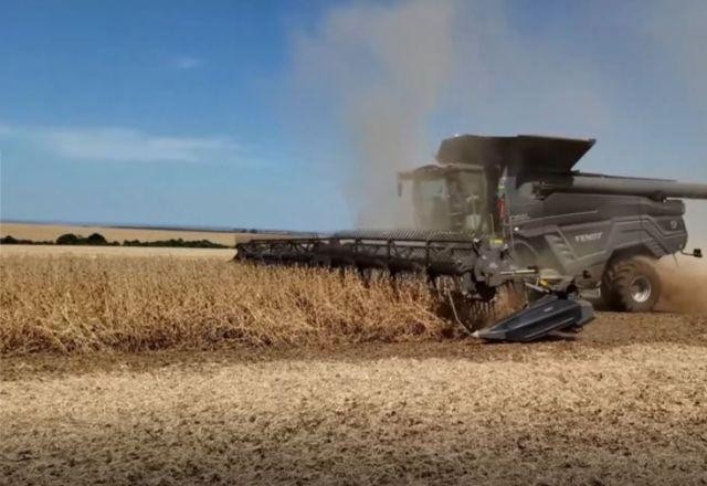 Imagem da noticia Produção de soja no Brasil teve crescimento de mais de 570% em 30 anos