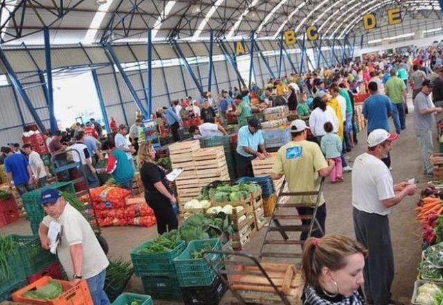 Imagem da noticia Produtores de alimentos relatam dificuldades após enchentes no RS: 'Produção foi devastada'