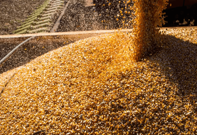 Imagem da noticia IGP-M sobe em novembro, mas tem queda em 12 meses pela 1ª vez em 1 ano e meio, diz FGV