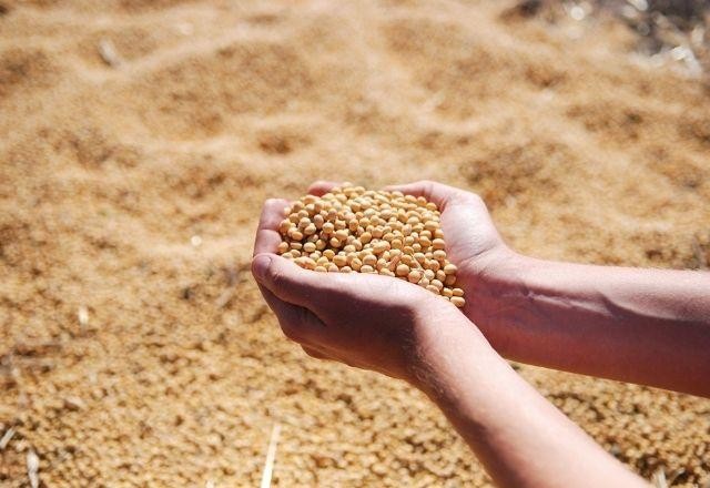 Imagem da noticia Agronegócio atinge novo recorde de US$ 14,53 bilhões nas exportações