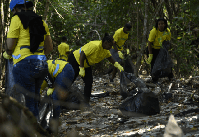 Imagem da noticia Mutirão do projeto “Rio ao Mar” promove nova faxina ambiental na Ilha do Governador neste sábado (18)