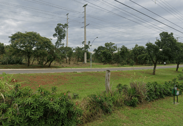 Imagem da noticia Carro atropela 14 capivaras em Brasília; 13 morrem e um filhote sobrevive