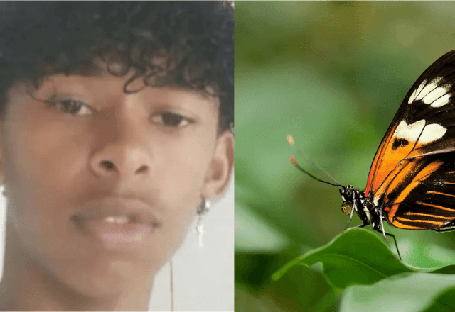 Imagem da noticia Borboleta amassada com água e injetada no corpo mata adolescente na Bahia; entenda riscos