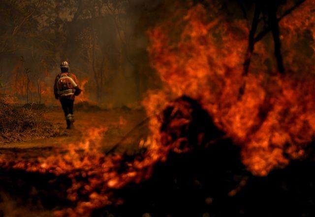 Imagem da noticia Número de queimadas no Brasil aumenta 80% em 2024, informa Inpe