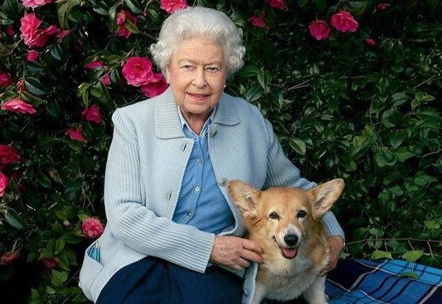 Imagem da noticia Cães da rainha Elizabeth devem morar com príncipe Andrew, em Royal Lodge