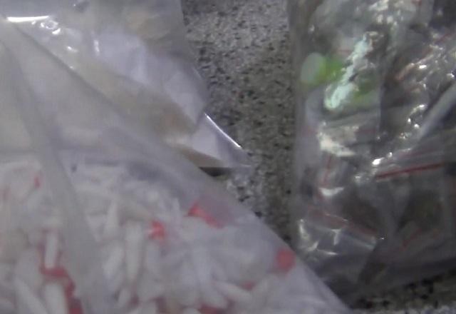 Imagem da noticia SP: polícia faz maior apreensão de K9 em duas "casas bomba"