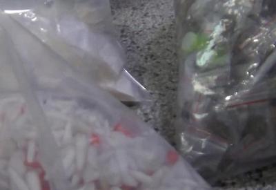 SP: polícia faz maior apreensão de K9 em duas "casas bomba" SP: polícia faz maior apreensão de K9 em duas "casas bomba"