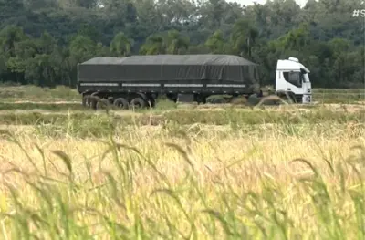 Falta de diesel leva cidades do RS a decretar emergência; safra é a mais afetada Falta de diesel leva cidades do RS a decretar emergência; safra é a mais afetada