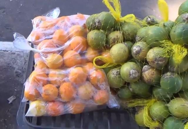 Imagem da noticia Morte de criança é investigada após consumo de tucumã