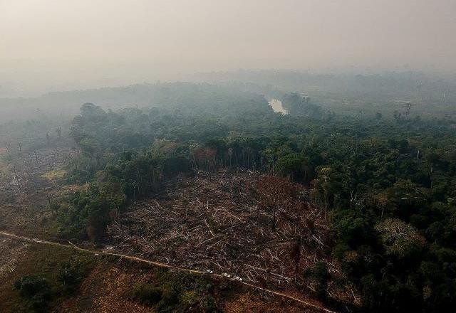 Imagem da noticia Nova ferramenta permite consulta detalhada de emissões de gases do efeito estufa por bioma, estado e município