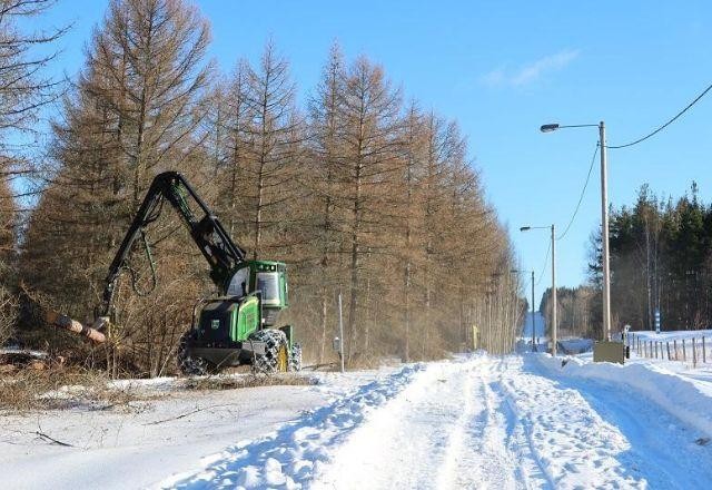 Imagem da noticia Finlândia inicia construção de muro na fronteira com Rússia