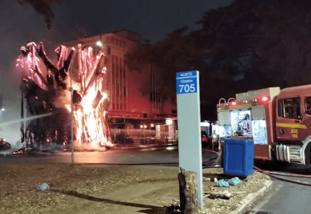 Imagem da noticia Incêndio em árvore com chamas de 10 metros assusta moradores e mobiliza bombeiros em Brasília