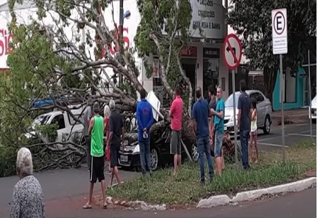 Imagem da noticia Tempestade que atingiu Paraná causa destruição e pânico entre moradores