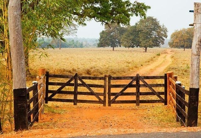 Imagem da noticia Prazo para declarar imposto sobre propriedade rural termina nesta 5ª feira