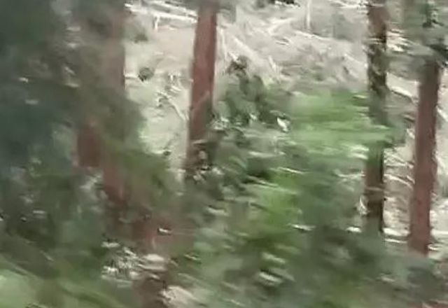 Imagem da noticia Vídeo: Tornado é registrado no oeste de Santa Catarina