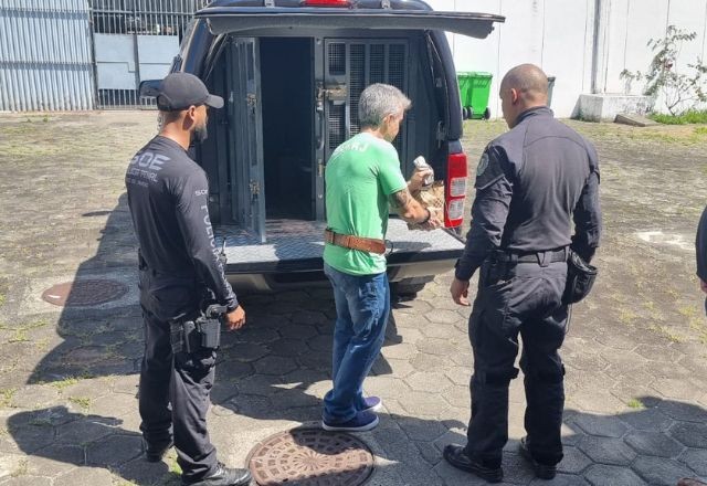 Imagem da noticia Bicheiro Rogério de Andrade é transferido para presídio federal