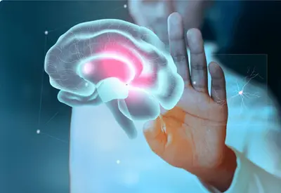 Tumores no cérebro: conheça sintomas, diagnóstico e novas opções de tratamento Tumores no cérebro: conheça sintomas, diagnóstico e novas opções de tratamento