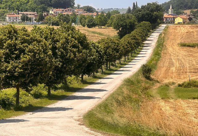 Imagem da noticia Pedale nas cidades praianas da Itália