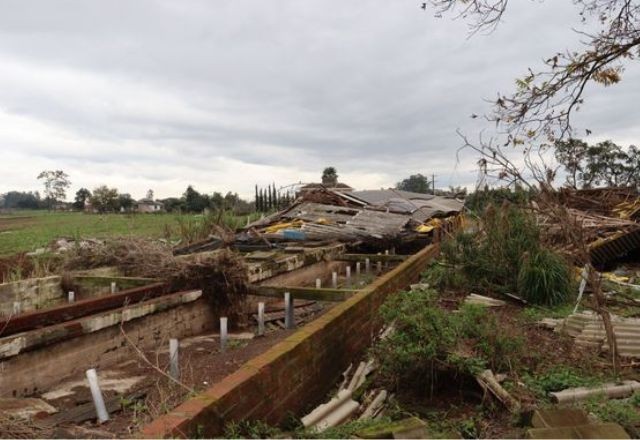Imagem da noticia O produtor gaúcho está imerso em dívidas