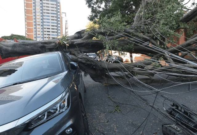 Imagem da noticia Aneel determina que distribuidoras de SP e RJ reforcem preparação para clima severo na semana