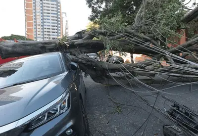Aneel determina que distribuidoras de SP e RJ reforcem preparação para clima severo na semana Aneel determina que distribuidoras de SP e RJ reforcem preparação para clima severo na semana