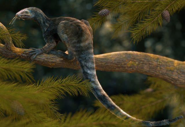 Imagem da noticia Fóssil de réptil que viveu há 230 milhões de anos é descoberto no RS