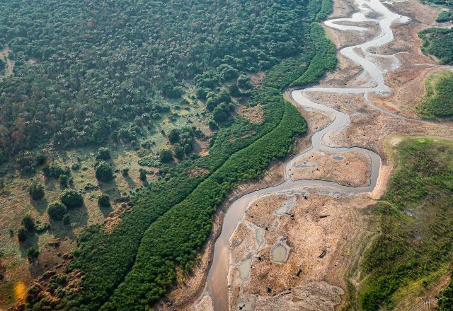 Imagem da noticia Seca no Brasil: 'Cientistas estão surpresos e muito preocupados', diz climatologista Carlos Nobre