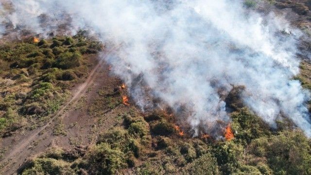 Imagem da noticia Bombeiros combatem seis focos de incêndios florestais no Pantanal (MS)