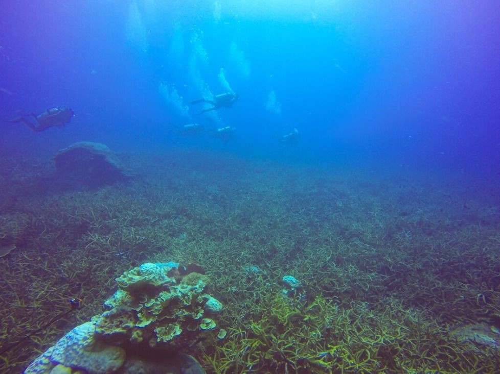 Imagem da noticia Cientistas descobrem produção de oxigênio no fundo do mar que pode mudar o que sabemos da origem da vida