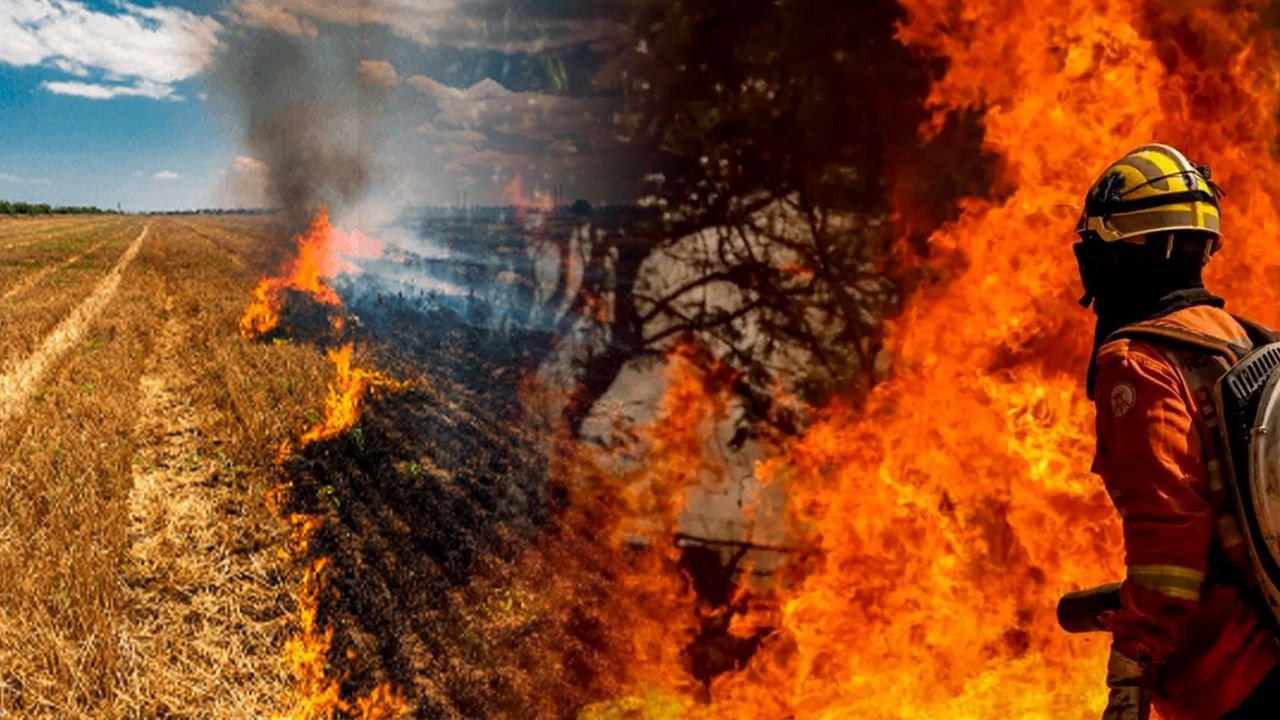 Imagem da noticia Poder Expresso: os efeitos dos incêndios no país; mortes e prejuízos financeiros