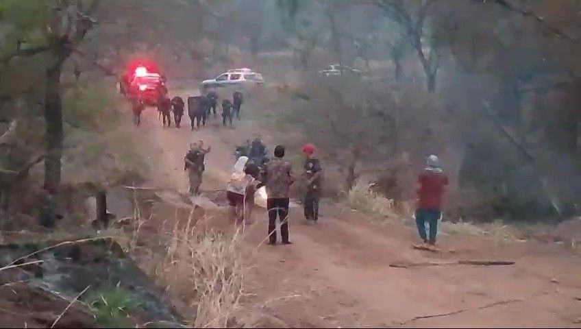 Imagem da noticia Indígenas são baleados em confronto com a polícia em Mato Grosso do Sul