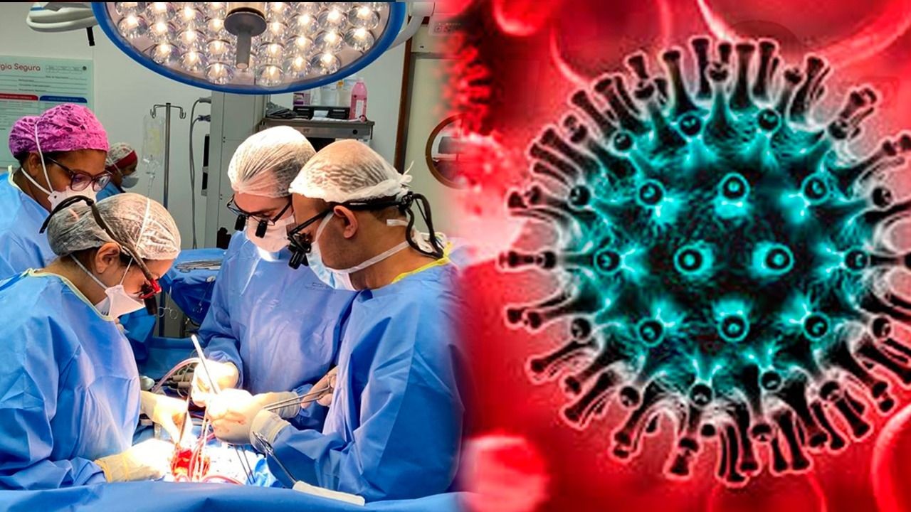 Imagem da noticia Poder Expresso: o que se sabe sobre 6 pacientes transplantados que receberam órgãos com HIV