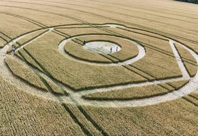 Imagem da noticia Marcas misteriosas em plantações intrigam moradores de Santa Catarina