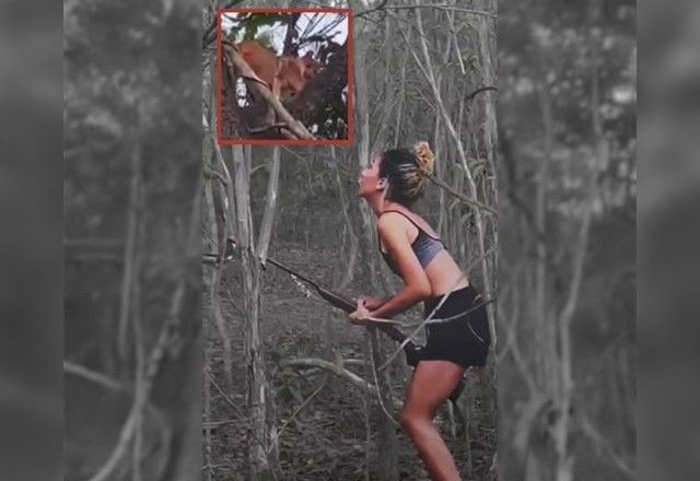 Imagem da noticia Ibama identifica mulher que torturou e matou onça-parda