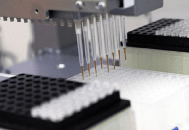 Imagem da noticia XEC: o que se sabe sobre a nova variante da Covid-19 identificada em três estados do Brasil