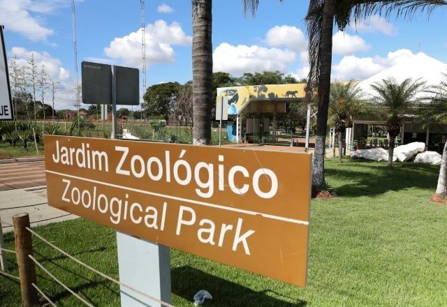 Imagem da noticia Após caso de gripe aviária, Zoológico de Brasília deve reabrir nesta sexta (13)