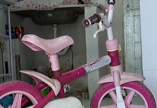 Imagem da noticia Menina de 2 anos é encontrada morta com sinais de espancamento