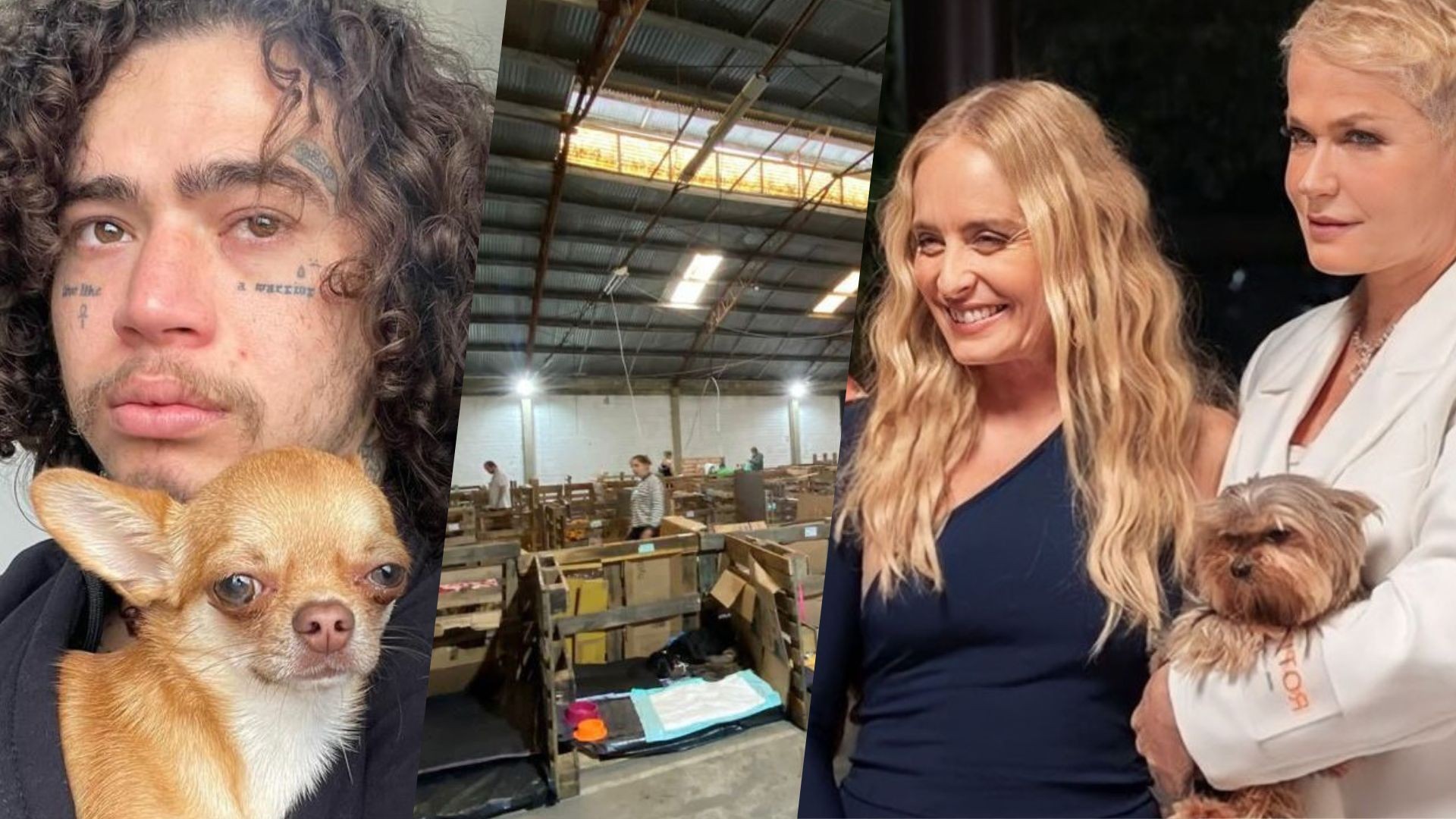 Imagem da noticia Xuxa, Whindersson e Angélica criam projeto para acolher animais resgatados no RS