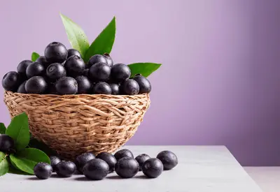 Suspeita de doença de Chagas leva à interdição preventiva de pontos de açaí em Ananindeua (PA) Suspeita de doença de Chagas leva à interdição preventiva de pontos de açaí em Ananindeua (PA)