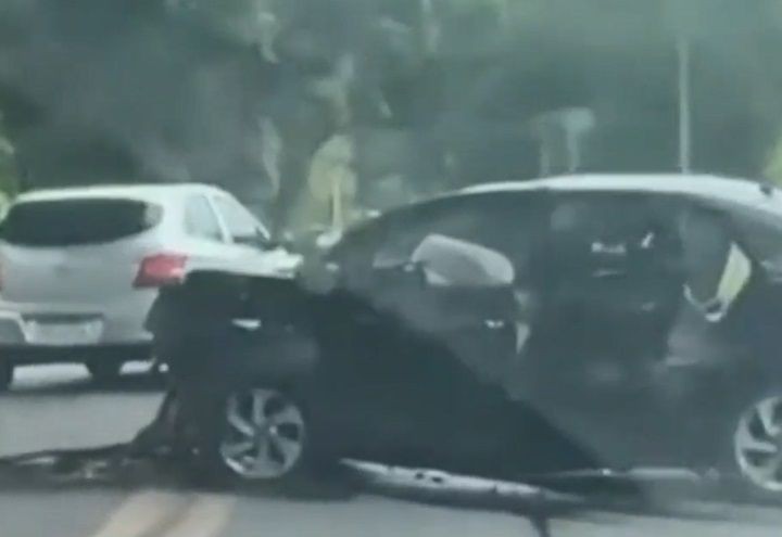 Imagem da noticia Enxame de abelhas provoca acidentes e ocupantes de carro pulam em rio