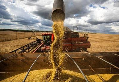Brasil e Argentina atuam juntos na OMC para reduzir subsídios agrícolas