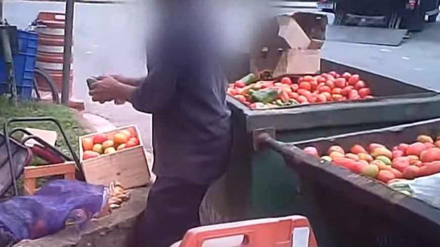 Imagem da noticia  Fraude alimentar: alimentos descartados na Ceagesp são recolhidos do lixo e revendidos ilegalmente