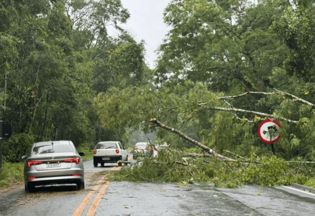 Imagem da noticia Chuvas intensas no litoral paulista causam alagamentos e interdição em rodovia