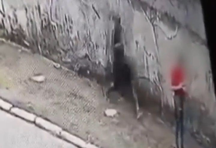 Imagem da noticia Ladrão causa terror na Zona Leste de SP com ataques violentos a idosas