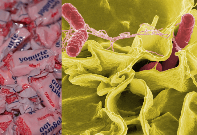 Imagem da noticia Anvisa proíbe venda de balas da marca Dori por risco de salmonella; veja lotes